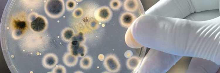 autóklíma tisztítás ár