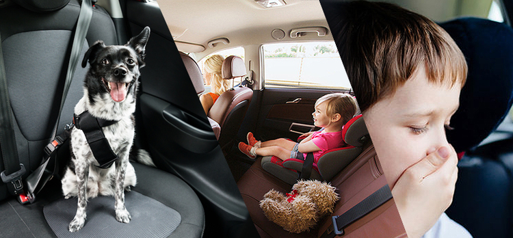 Hogyan zajlik az ózonos klímatisztítás